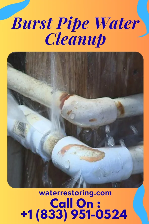 Burst Pipe Water Cleanup in Edgewood, OH