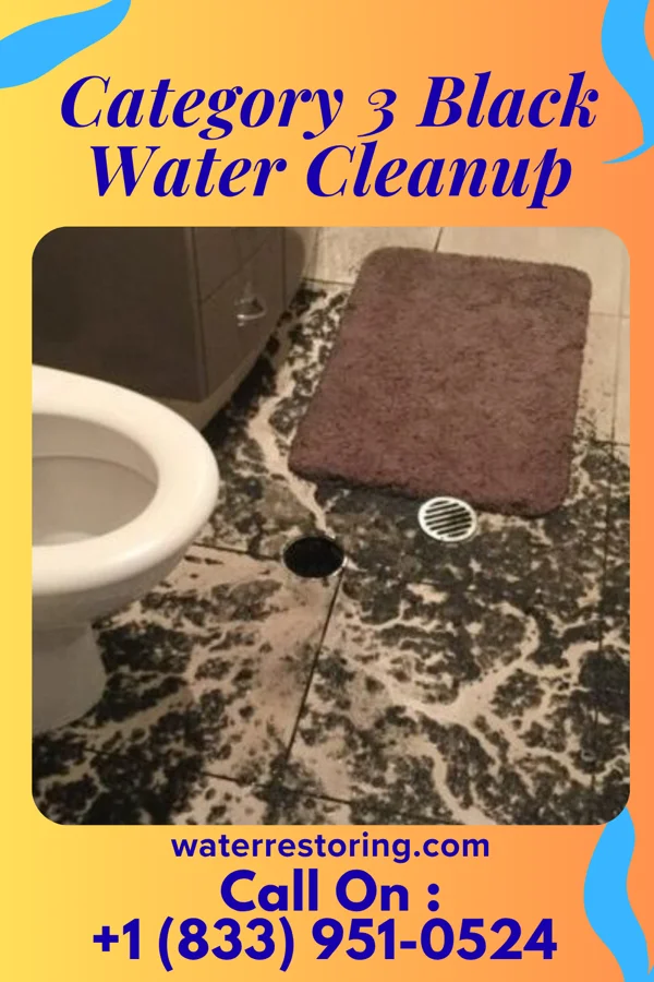 Category 3 Black Water Cleanup in Edgewood, OH