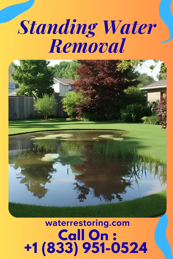 Standing Water Removal in Edgewood, OH